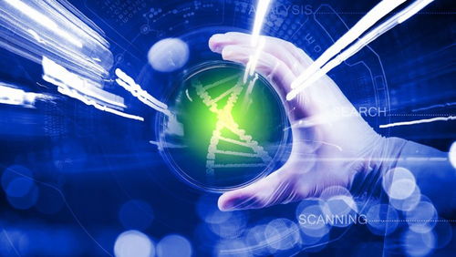 科技部 中國(guó)將積極參與國(guó)際科技倫理規(guī)范的制定