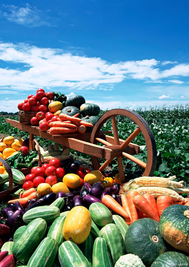 新規落地，守護舌尖安全——孫海山律師解讀《食用農產品市場銷售質量安全監督管理辦法》