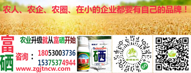 農業農村部實施新規，全國食用農產品全面推行合格證制度